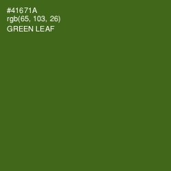#41671A - Green Leaf Color Image